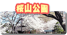 桜山公園